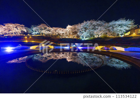 國立陸奧湖畔公園 夜間櫻花燈飾「陸奧花燈」 宮城縣川崎町 113534122