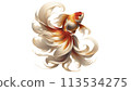 金魚003 113534275