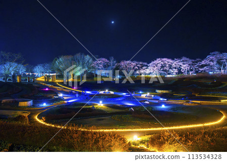 Michinoku Lakeside National Park: Nighttime cherry blossom illumination "Michinoku Flower Lights" Kawasaki Town, Miyagi Prefecture Michinoku Lakeside National Park: Nighttime cherry blossom illumination "Michinoku Flower Lights" Kawasaki Town, Miyagi Prefecture 113534328