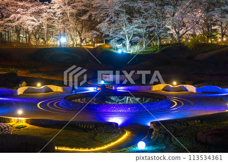 國立陸奧湖畔公園 夜間櫻花燈飾「陸奧花燈」 宮城縣川崎町 113534361