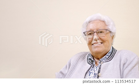 Elder smiling woman looking at camera sitting in geriatric 113534517