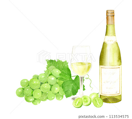 白葡萄酒和白葡萄的水彩插圖 113534575