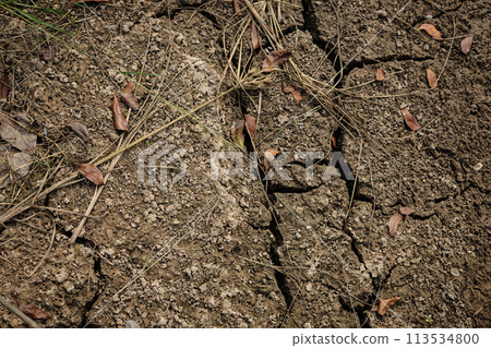 Top view of textured background of dry cracked earth. Top view of textured background of dry cracked earth. 113534800