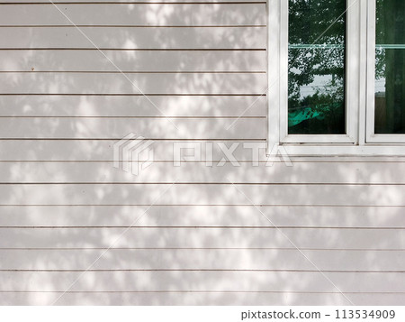 Shadows of leaves and branches on the wall of the house with glass window Shadows of leaves and branches on the wall of the house with glass window 113534909