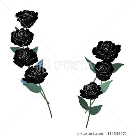Black rose decoration Black rose decoration 113534971