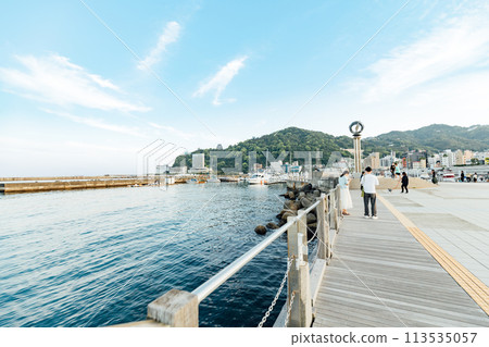 [靜岡縣] 享受熱海海灘的情侶 113535057
