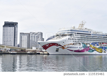 Photographing the cruise ship Norwegian Jewel calling at Hakodate Port in Hakodate, Hokkaido in spring 113535461