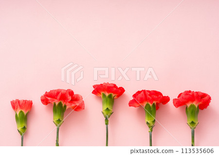 Flowers, carnations, Mother's Day, gifts. 113535606