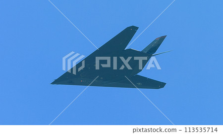 US Air Force F-117 Nighthawk 113535714