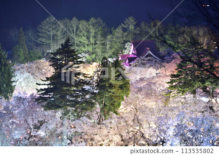 Scenery with cherry blossoms, the best cherry blossoms in the world <Takato Castle Ruins Park> 113535802