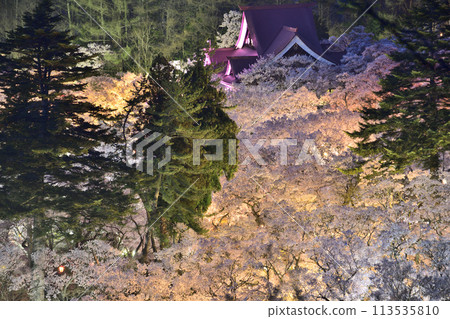 櫻花盛開的風景,日本第一的櫻花<高遠城跡公園> 櫻花盛開的風景,日本第一的櫻花<高遠城跡公園> 113535810