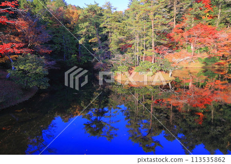 秋葉倒映在水面上 113535862