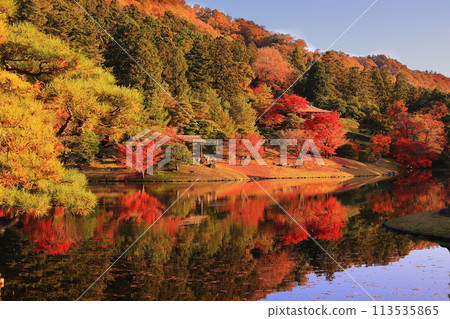 秋葉倒映在水面上 113535865