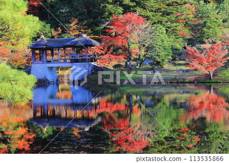 秋葉倒映在水面上 113535866