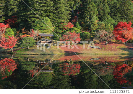 Scenery with a pond 113535871