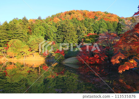 秋葉倒映在水面上 113535876