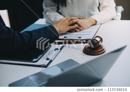 Businessman and Male lawyer or judge consult having team meeting with client, Law and Legal services concept. 113536010