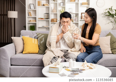 Caring Friend Comforting Sick Woman at Home on Cozy Sofa 113536085