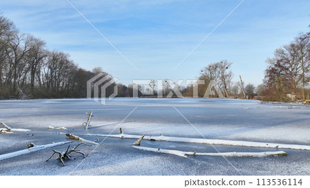 Ice pond wetland winter snow fens meadow, drone aerial lowland swamp Hrdiboricke ponds icy frozen, endangered habitat natural monument, reed common broadleaf cattail bulrush cold Europe 113536114