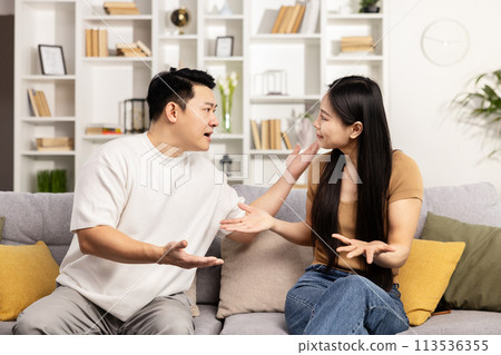 Happy Asian Couple Discussing and Gesturing on Couch Happy Asian Couple Discussing and Gesturing on Couch 113536355