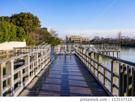 從八條池水上橋看到的早春景色（京都府長岡京市） 113537319