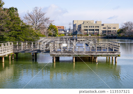從八條池水上橋看到的早春景色（京都府長岡京市） 113537321