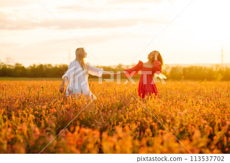 Two Beautiful woman in a field. Nature, fashion, vacation and lifestyle. Two Beautiful woman in a field. Nature, fashion, vacation and lifestyle. 113537702