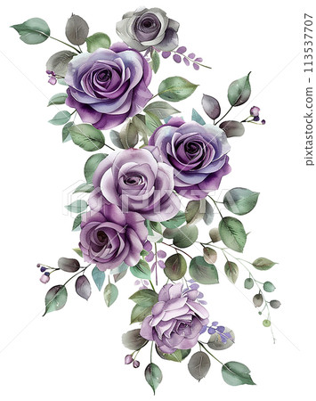 bouquet of blue purple roses. watercolor drawing, clipart with roses 113537707