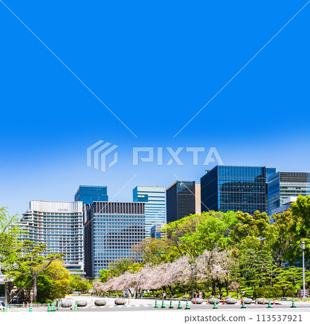 Buildings from Marunouchi to Otemachi [Image of Tokyo's office district] 113537921
