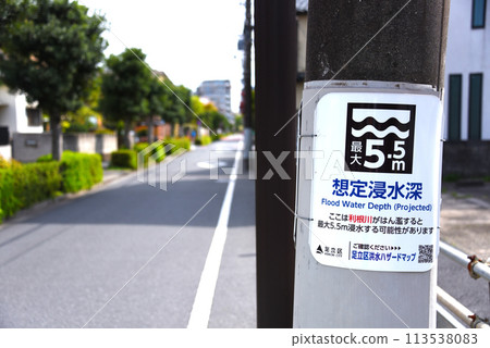 Electric poles Estimated flood depth Tone River Electric poles Estimated flood depth Tone River 113538083