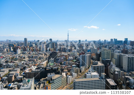 從文京市民中心展望室眺望東京晴空塔的東京城市景觀 從文京市民中心展望室眺望東京晴空塔的東京城市景觀 113538107