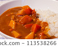 A delicious curry rice 113538266