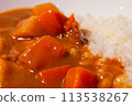A delicious curry rice 113538267