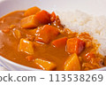 A delicious curry rice 113538269