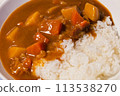 Curry rice on a white plate 113538270