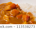 A delicious curry rice 113538273
