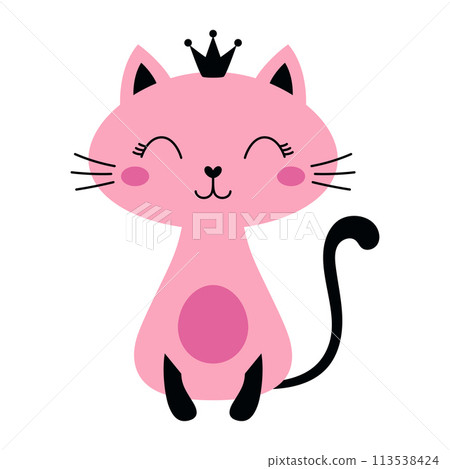 princess cat isolated princess cat isolated 113538424