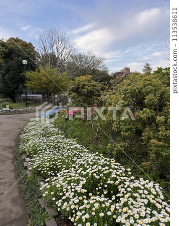 沿公園長廊的花壇 沿公園長廊的花壇 113538611
