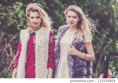 Two fashionable women outdoor 113538804