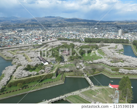 Hakodate Goryokaku in spring with beautiful cherry blossoms (view from the second floor of Goryokaku Tower observation deck) Hakodate Goryokaku in spring with beautiful cherry blossoms (view from the second floor of Goryokaku Tower observation deck) 113539019