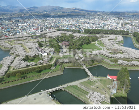 春天的函館五稜郭，櫻花盛開（從五稜郭塔展望台二樓眺望） 113539021