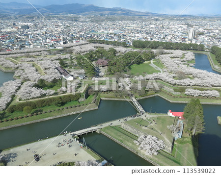 Hakodate Goryokaku in spring with beautiful cherry blossoms (view from the first floor of Goryokaku Tower) 113539022