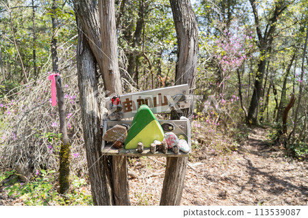 The summit of Mount Yuka (Soja City, Okayama Prefecture) 113539087