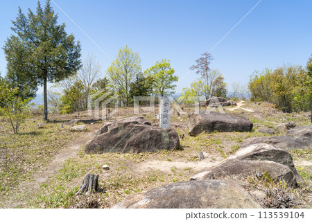 小山城跡（岡山縣總社市） 113539104
