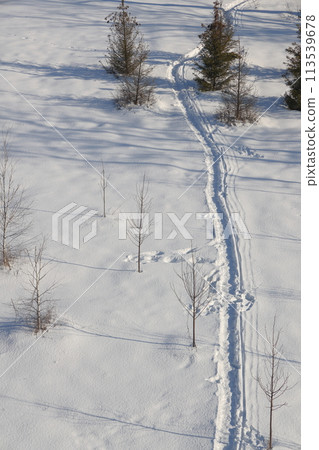 Deserted winter landscape. A path of footprints stretches across the pure white snow. 113539678