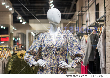 Female mannequin in gray dress close up 113539793