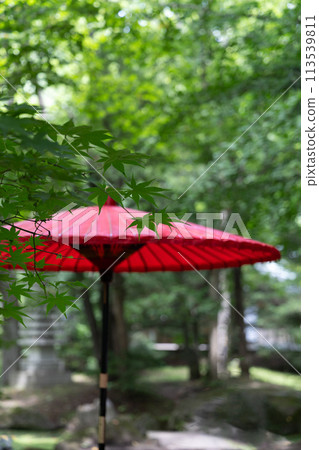 夏季參拜神社 (30) 113539811