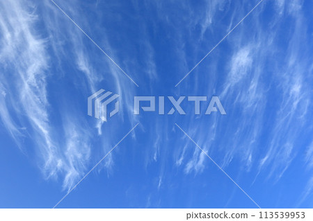 藍天和肌肉雲 113539953