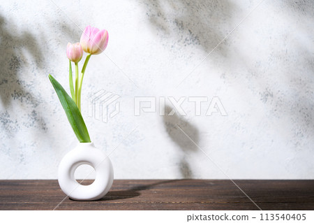 Tulip living in a vase 113540405