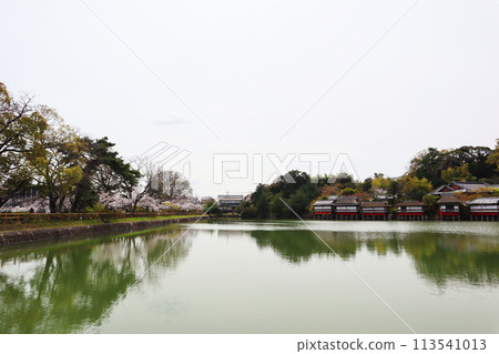 京都府長岡天滿宮八條池 京都府長岡天滿宮八條池 113541013